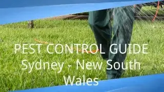 Pest Control Guide - Sydney NSW