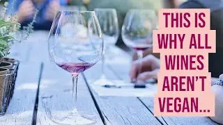 Vegan Wine. What is it & How to Find it!