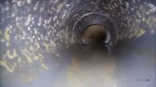 Must-see sewer camera inspection for GGS. Sewer line problems exposed in Thousand oaks Ca