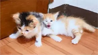 You will not escape this epic fight!