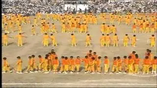 Sibi Unity Show (Flower Show)
