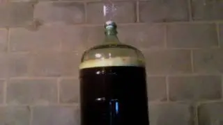 krausen 1