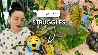 Already On The 2026 Struggle Bus 😢 Plant FAILS!!