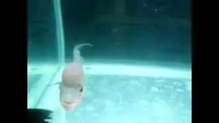 20130830 204656