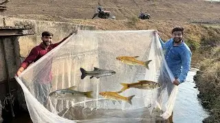 Aaj 🎣 Bahot Sari River Barb Fish Pakdi #riverfishing