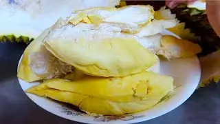 Monthong Durian 4.8 Kilogram | Durian Season in Cambodia