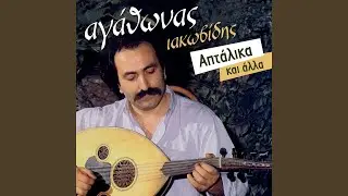 O Memetis