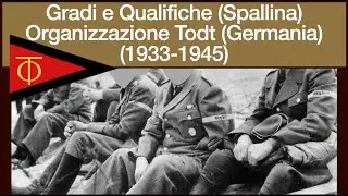 Gradi e Qualifiche Organizzazione Todt (1933-1945) - Spallina
