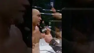 RESPECT moments in MMA #mma #ufc #viralshort