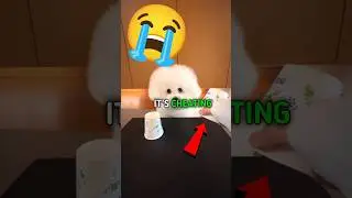 #нетрекламы