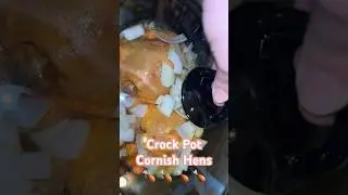 CORNISH HENS in the CROCK POT!🍗 #crockpot #crockpotcooking #cornish #hen #dinner #slowcooker #food