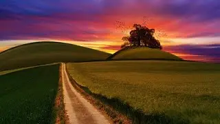 Fall Themed Video with Relaxing Music