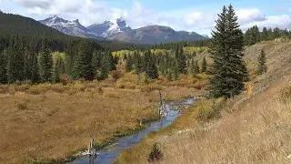 Super Natural Western Canada
