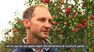 Äppelriket 2