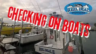 Reel Deal Sportfishing is live!