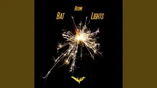 Bat Lights