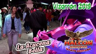 Halcón Huasteco - La Azucena Bella
