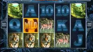 Untamed Bengal Tiger Casino 5 Reel