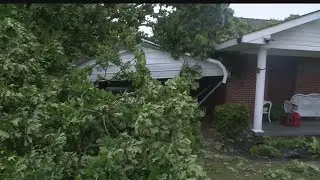 geneva county storm damage