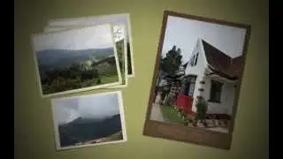 Cameron Highlands - 