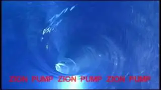 Bottom entry high shear mixer homogenizer by Zion Fluid Euip
