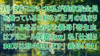 私が義家族全員を養っているとは知らず、お正月の集まりでビールをぶっかけてきた義母「寄生虫は除菌しないとねw」私「では私は実家へ帰ります」義母「え？」一生帰らなかった結果w【スカ