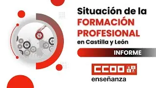 Informe sobre la situaci&oacute;n de la Formaci&oacute;n Profesional en Castilla y Le&oacute;n