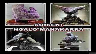 Keindahan Suiseki Batu Ngalo Manakarra Mamuju | TVRI SULBAR | Warta Sulbar, Januari 2018