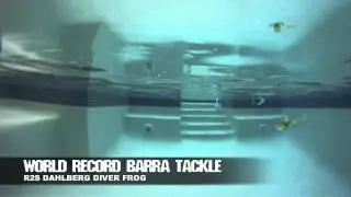 River 2 Sea Dahlberg Diver Frog