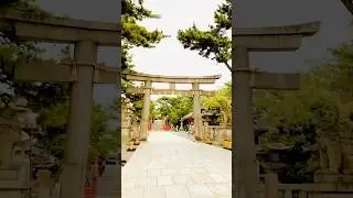 A Day In Japanese Shrine #japanvlogs #japan #sumiyoshi #shrines #shrine #japanese #trending #shorts