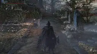 Bloodborne/DLC calices
