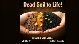 How to Make Dead Soil Fertile Using Kitchen Waste 🌱| Revive Old Soil Naturally |Zero Waste Gardening