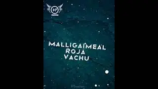 True love💞Whatsapp status💞Tamil💞College Sighting💞Love at first sight💞H&sup2;Creation✨Lovers Goals✨#shorts