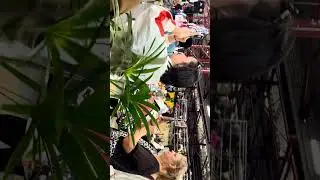 #jazz Orlando Combo jazz live at Queen Victoria Market #jazz