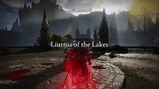 Elden ring duel compilation