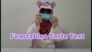 Feastables Taste Test