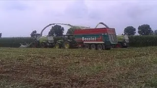 gruppo Pea con claas jaguar 970, 980 e fratelli Giugno 2 claas 970