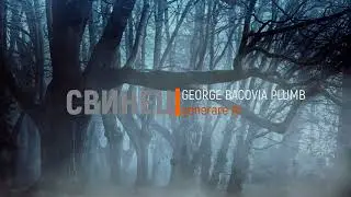 СВИНЕЦ George Bacovia Plumb (Russian Cover Rock Version)