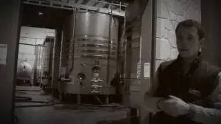 Capítulo 14. Crianza y trasiego de vinos tintos