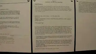 Legislative Authority/ Letters Patent the Great Flip (5)
