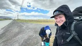Patagonia - Huemul, Fitz Roy, Cerro Torre, Perito Moreno, Magdalena island & Torres del Paine