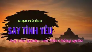 Say T&igrave;nh Y&ecirc;u - Say cho qu&ecirc;n&hellip; m&agrave; tim chẳng qu&ecirc;n