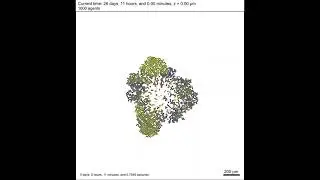 PhysiCell Simulation Visualized (Tumor Growth)