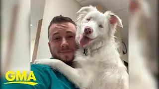 Blind and deaf dog is so loved by transgender dad, &lsquo;I kind of see herself in me&rsquo; l GMA Digital