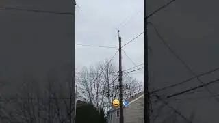 What Do Birds Do for Fun in Rhode Island?! #Shorts #FunnyShorts #Coventry #Haha
