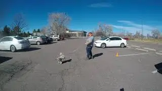 Loose Leash Walking 6 ft leash