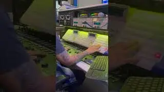 O melhor emprego do mundo: Sonoplasta do Ratinho