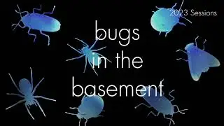 Bugs In The Basement- Recurvaria Nanella aka The Lesser Bud Moth