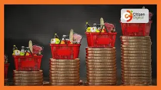 Excise duty adjustment pushes up cost of household goods