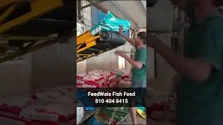 FeedWale Fish Feed Now Available In 4 States